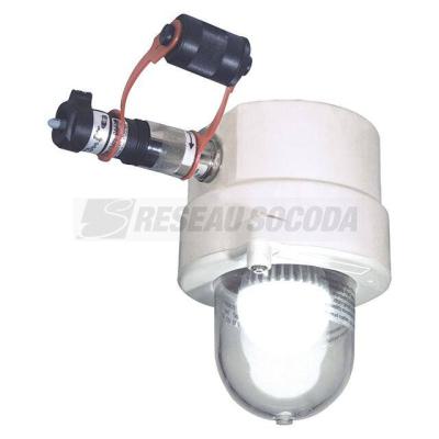  dKLK23LED verte 