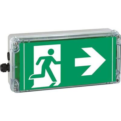  LSC EXIT CG-S 