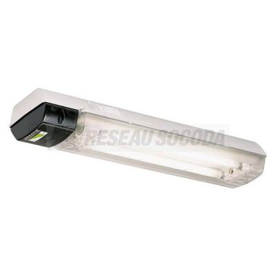  eLLM92 036/36 LED READY 