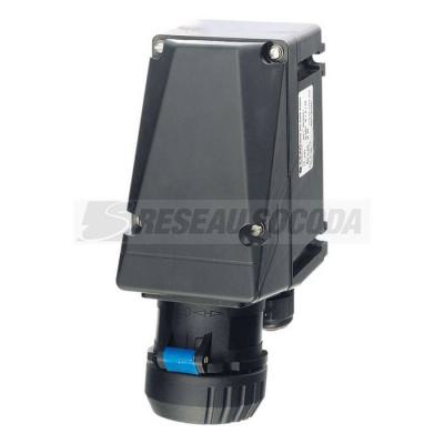  Socle mural 16A-2P+T-110V 