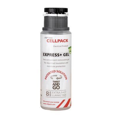  EXPRESS+ GEL/300ml 