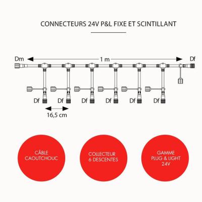  Rac �lec Collec. 6 desc. P&L D 