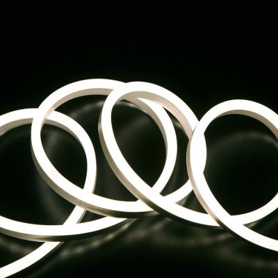  Cord Lum. Sur'line RG 