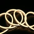  Cord Lum. Sur'line BE 