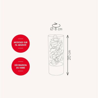  D�coration Vase VitroLED tran 