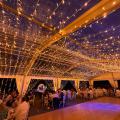  Plafond  L:30M BF 