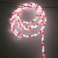  Cord Lum. Candy BF 