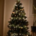  Arbre Sapin Givr� Vert 