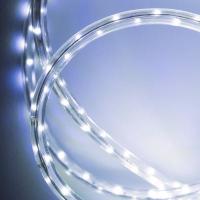  Cord Lum.  RG 