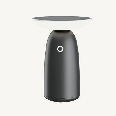  Lampe Nomad 