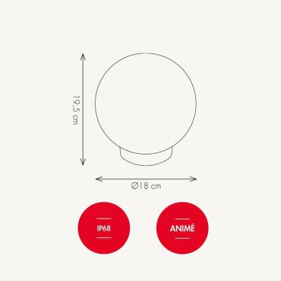  D�coration Buldo RVB-BF Solair 