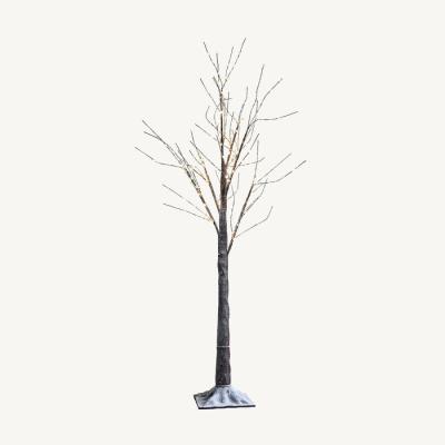  Arbre lum. Glac� IV 
