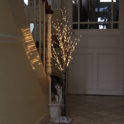  Arbre lum. Glac� IV 