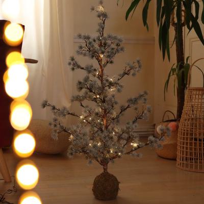  Arbre lum. Sapin Coco BC 
