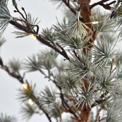  Arbre lum. Sapin Coco BC 