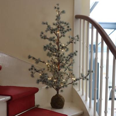  Arbre lum. Sapin Coco BC 