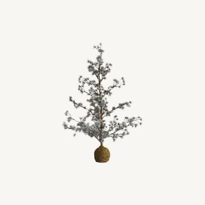  Arbre lum. Sapin Coco BC 
