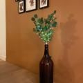  Branche Eucalyptus L:0,6M BC 
