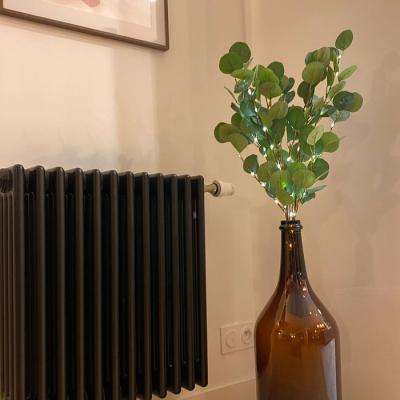  Branche Eucalyptus L:0,6M BC 