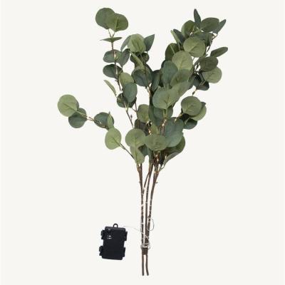  Branche Eucalyptus L:0,6M BC 