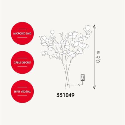  Branche Eucalyptus L:0,6M BC 