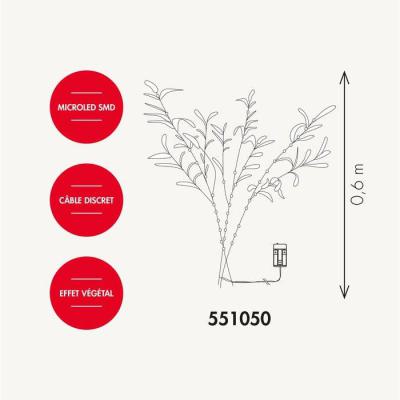  Branche Olivier L:0,6M BC 