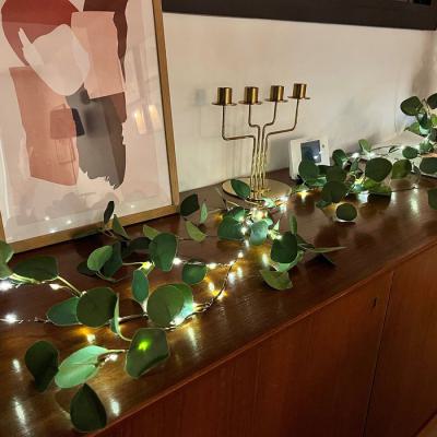  Guirl. Eucalyptus L:1,8M BC 