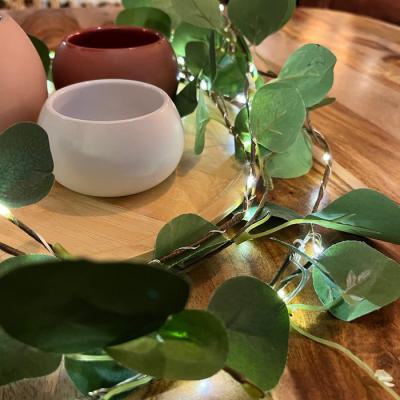  Guirl. Eucalyptus L:1,8M BC 