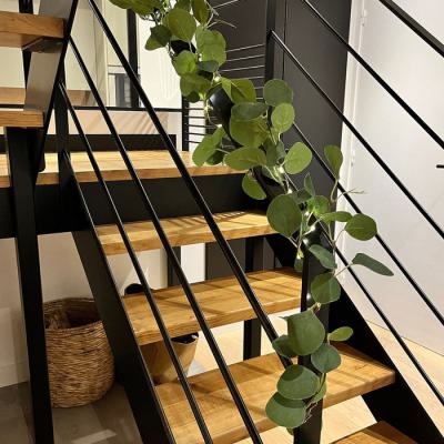  Guirl. Eucalyptus L:1,8M BC 