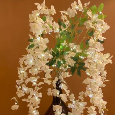  Branche Glycine L:0,6M BC 