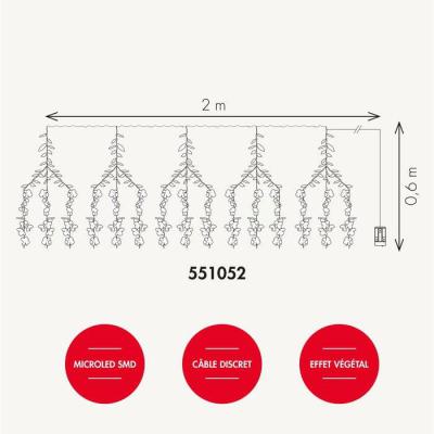  Branche Glycine L:0,6M BC 