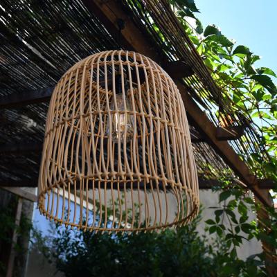  Lustre CANARI 
