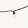  Guirl. Globe Tradition L:5M BC 
