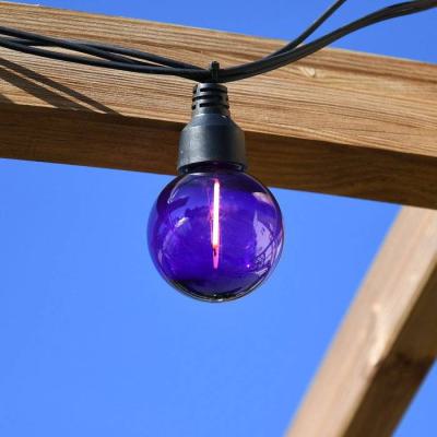  Guirl. Globe Arlequin L:5M BC 
