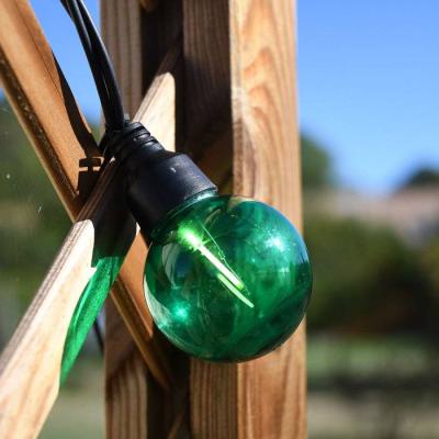  Guirl. Globe Arlequin L:5M BC 
