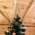  Cimier �toile dor�e 