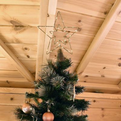  Cimier �toile dor�e 