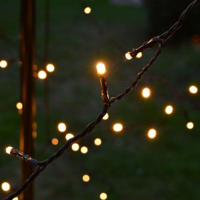 Arbre lum. C�ne enchant� BC 