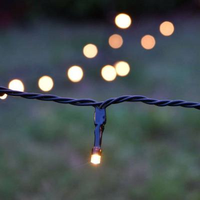  Arbre lum. C�ne enchant� BC 