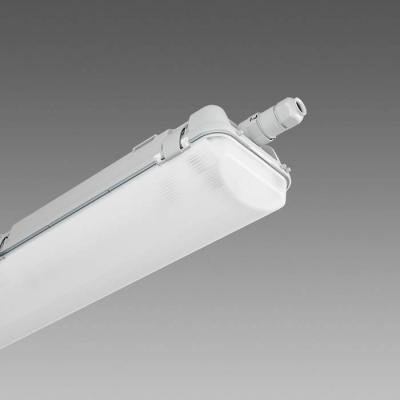  ECHO 927 Led Double 32W 5560lm 