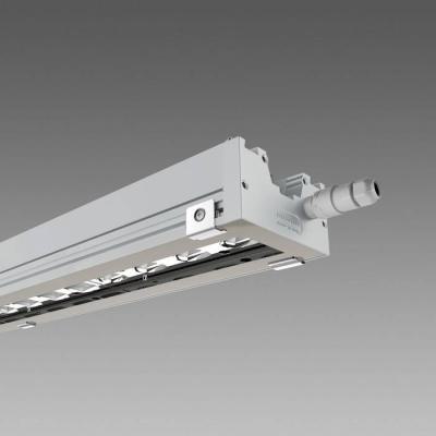  RADON 2166 Led extensif 80W 87 