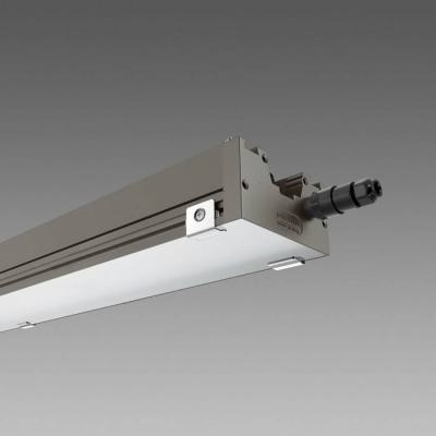  RADON 2167 Led extensif 50W 48 
