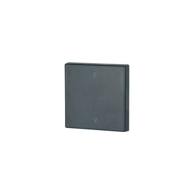  Bouton � bascule, simple, anth 