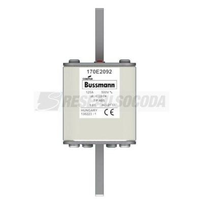  FUSE 125A 500V TP 405 AR 