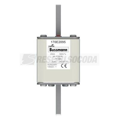  FUSE 250A 500V TP 405 AR 
