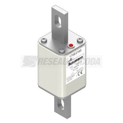  FUSE 80A 500V TP 205 AR 