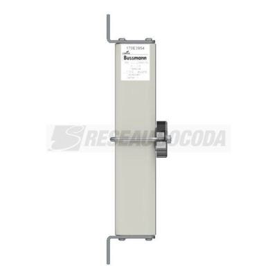  FUSE 50A 2000V 1*SKN/246 GR DC 