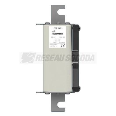  FUSE 250A 750V 1EK/165 GR DC 