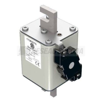  FUSE 250A 1000V 2KN/110 AR 