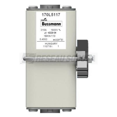  FUSE 250A 660V 1*STN/110 AR 